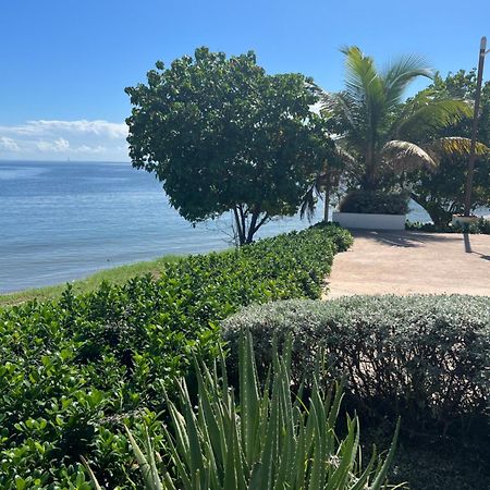 Bayfront Villa & Apartment Портмор Экстерьер фото